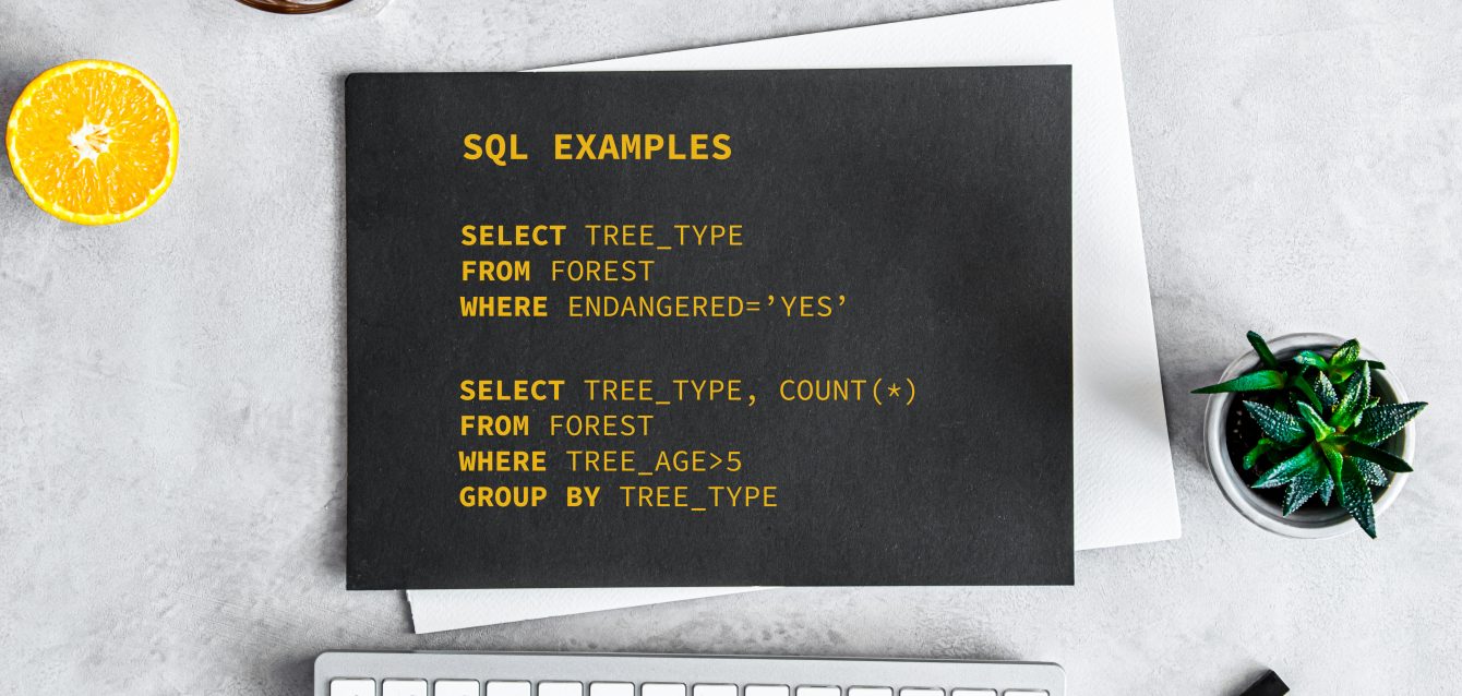 Natural Language to SQL Solution